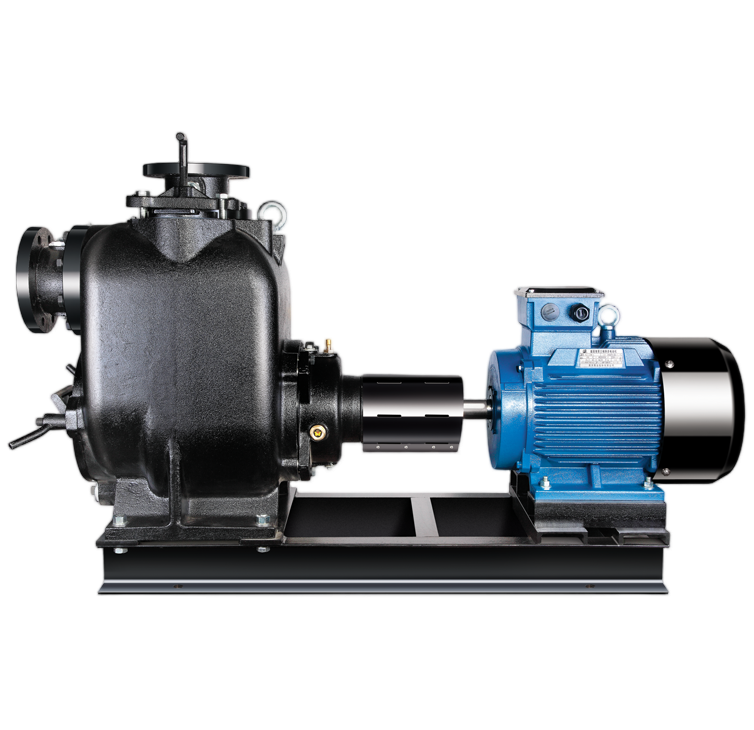 SP无堵塞自吸式排污泵